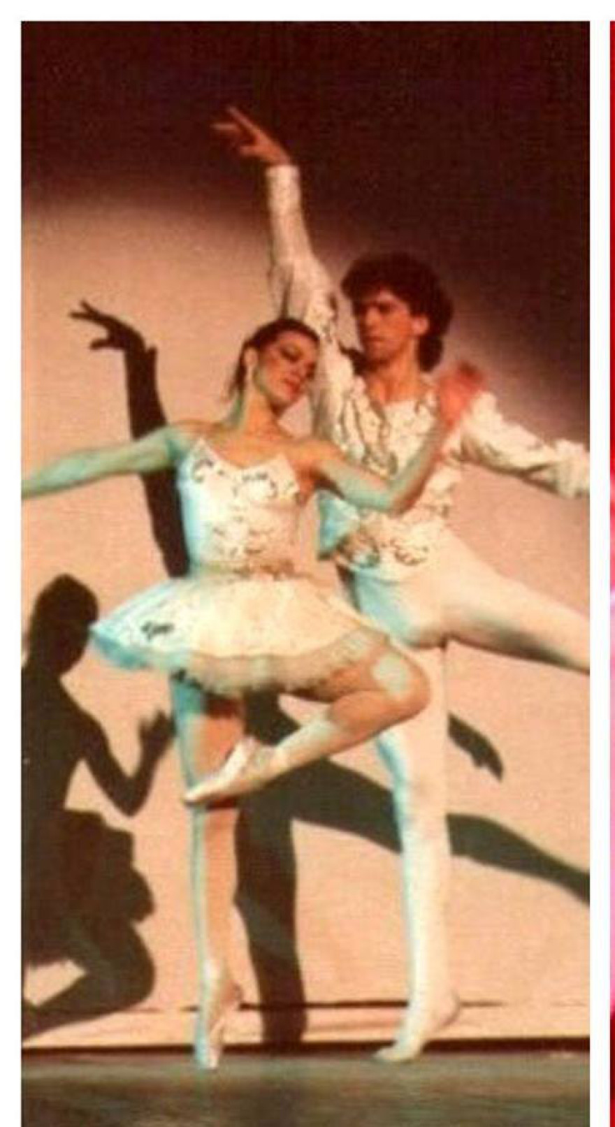 Οι “κύκνοι” της Κάσου, η σπουδαία δασκάλα και η κρατική αδιαφορία