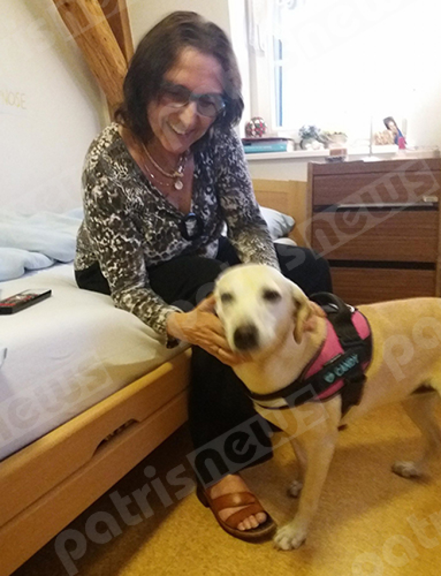 Πρώην αδέσποτο στον Πύργο έγινε σκύλος θεραπείας στην Ελβετία