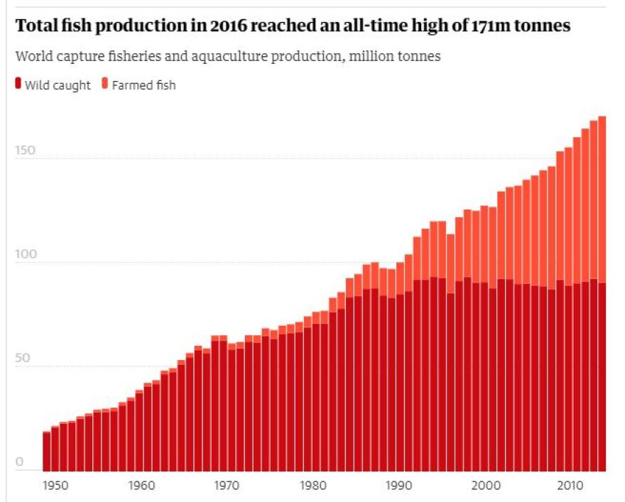 Έκθεση σοκ του ΟΗΕ: Το ένα από τα τρία ψάρια που αλιεύονται δεν φτάνει ποτέ στο τραπέζι μας