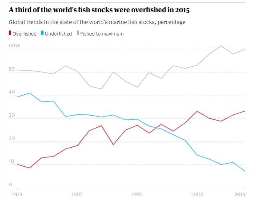 Έκθεση σοκ του ΟΗΕ: Το ένα από τα τρία ψάρια που αλιεύονται δεν φτάνει ποτέ στο τραπέζι μας