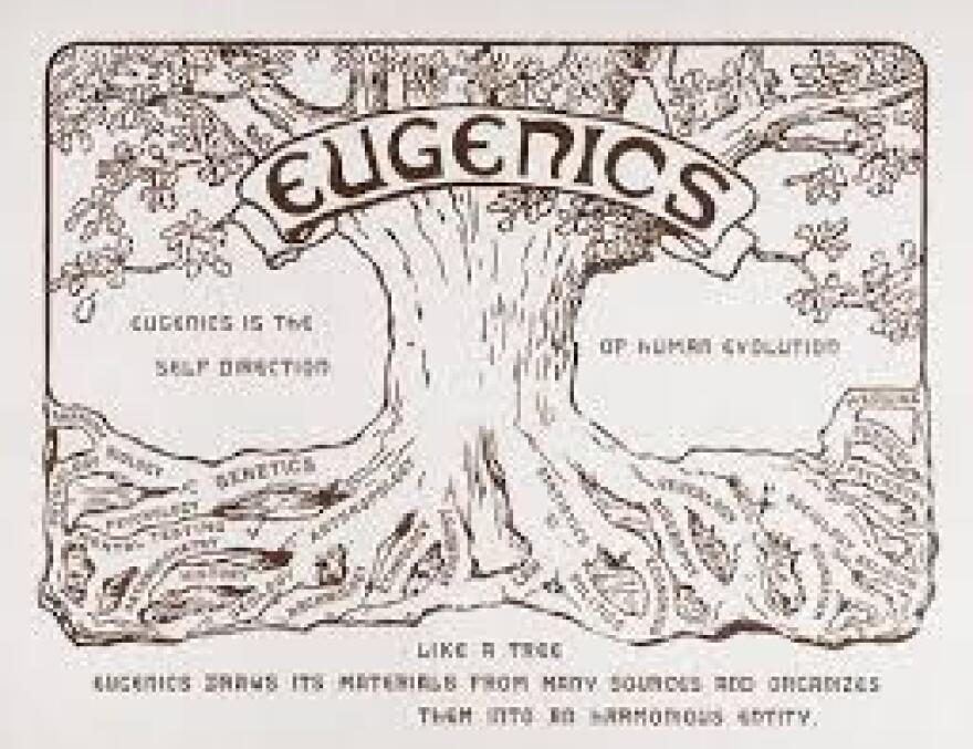 Η ευγονική και οι υποστηρικτές της στην Ελλάδα