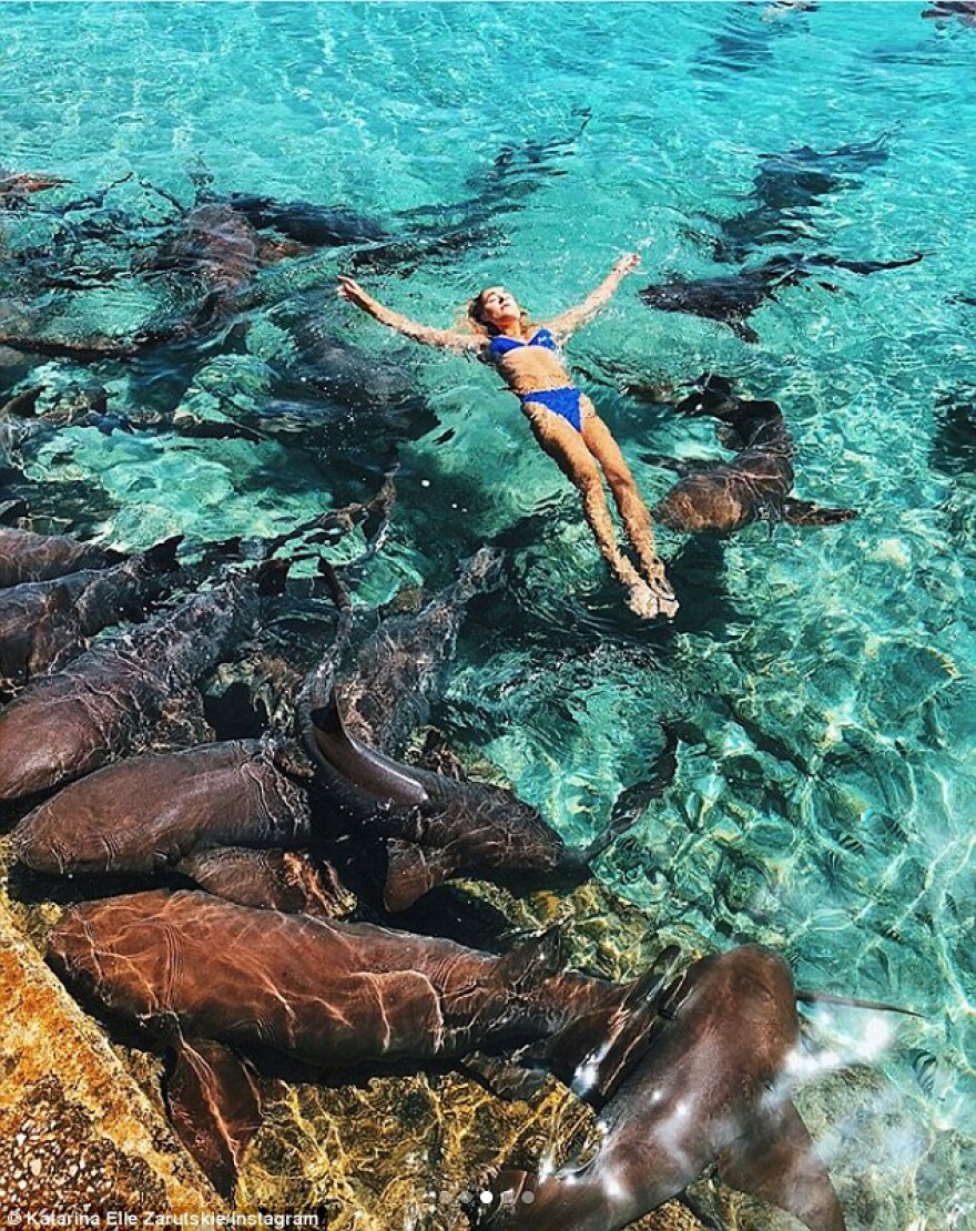 Φωτογραφίες: Η στιγμή που καρχαρίες ορμάνε σε 19χρονο μοντέλο στις Μπαχάμες