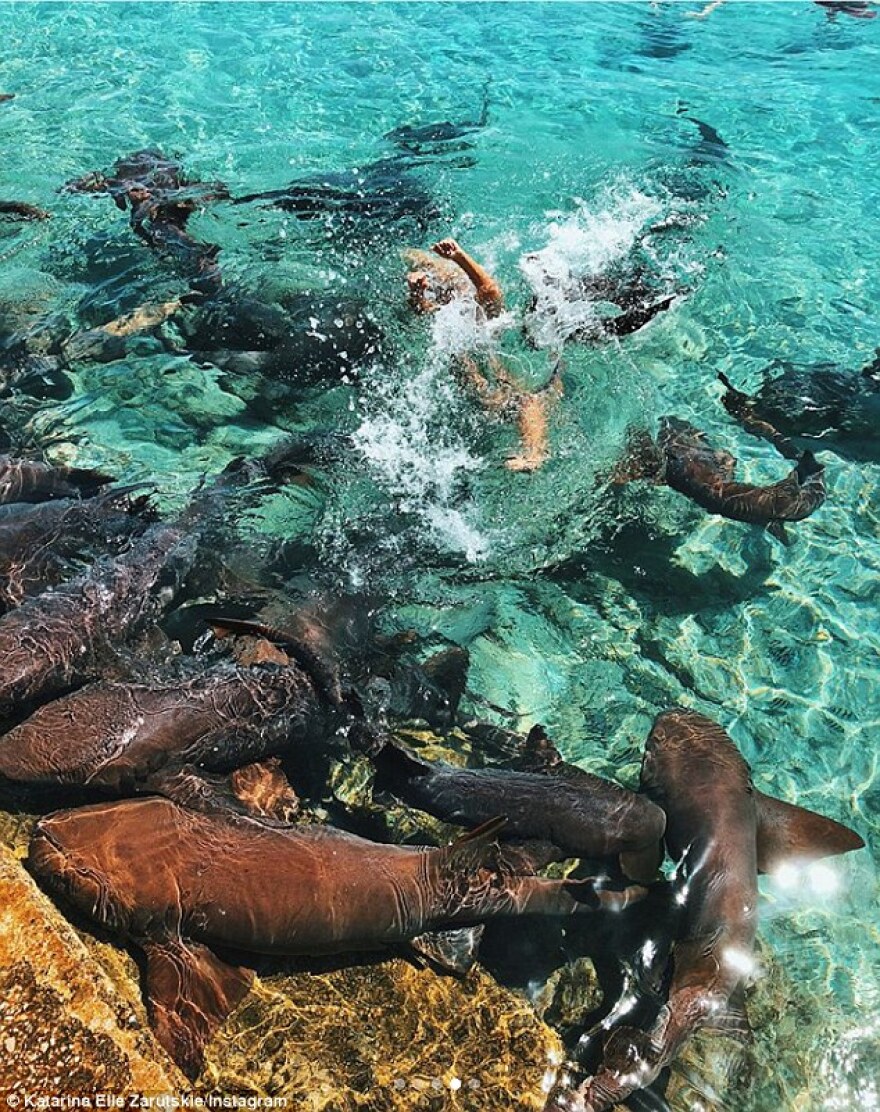 Φωτογραφίες: Η στιγμή που καρχαρίες ορμάνε σε 19χρονο μοντέλο στις Μπαχάμες