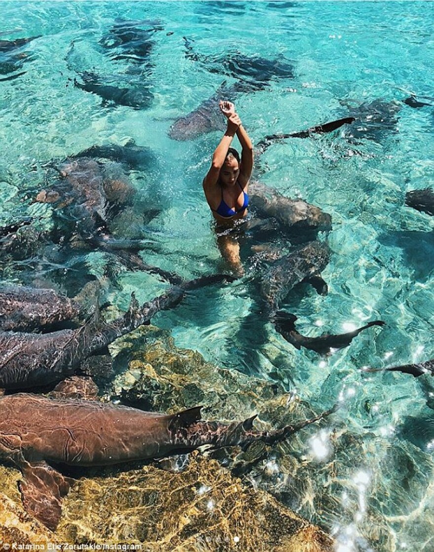 Φωτογραφίες: Η στιγμή που καρχαρίες ορμάνε σε 19χρονο μοντέλο στις Μπαχάμες