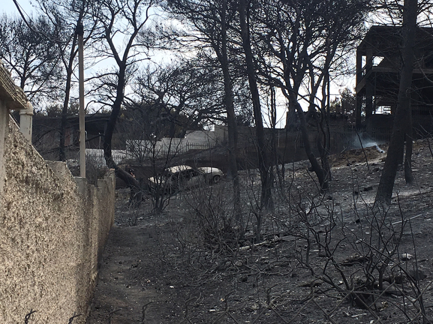 Φωτιά στην Αττική: Άλλοι 14 νεκροί - Ξεπέρασαν τους 60