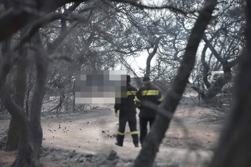 Εικόνα Αποκάλυψης: Κάηκαν αγκαλιά με τα παιδιά τους στην Αργυρή Ακτή