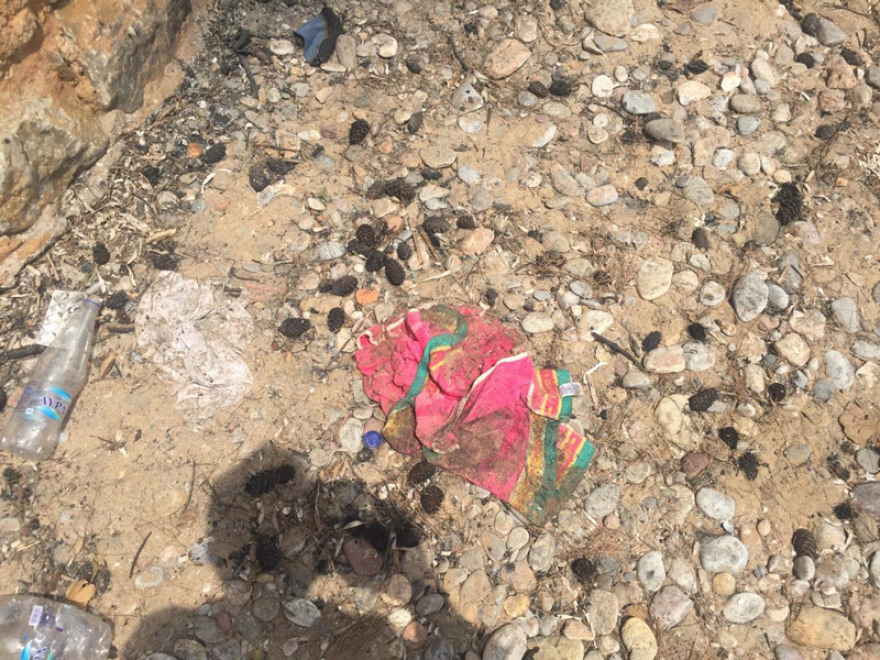 Φωτιά στο Μάτι: Φωτογραφίες - ντοκουμέντο της άτακτης φυγής