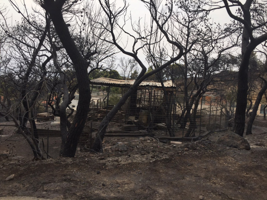 Φωτιά στην Κινέτα: Εικόνες βιβλικής καταστροφής και συγκλονιστικές μαρτυρίες για τον πύρινο εφιάλτη