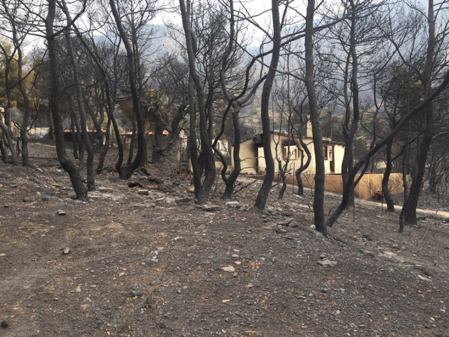 Φωτιά στην Κινέτα: Εικόνες βιβλικής καταστροφής και συγκλονιστικές μαρτυρίες για τον πύρινο εφιάλτη