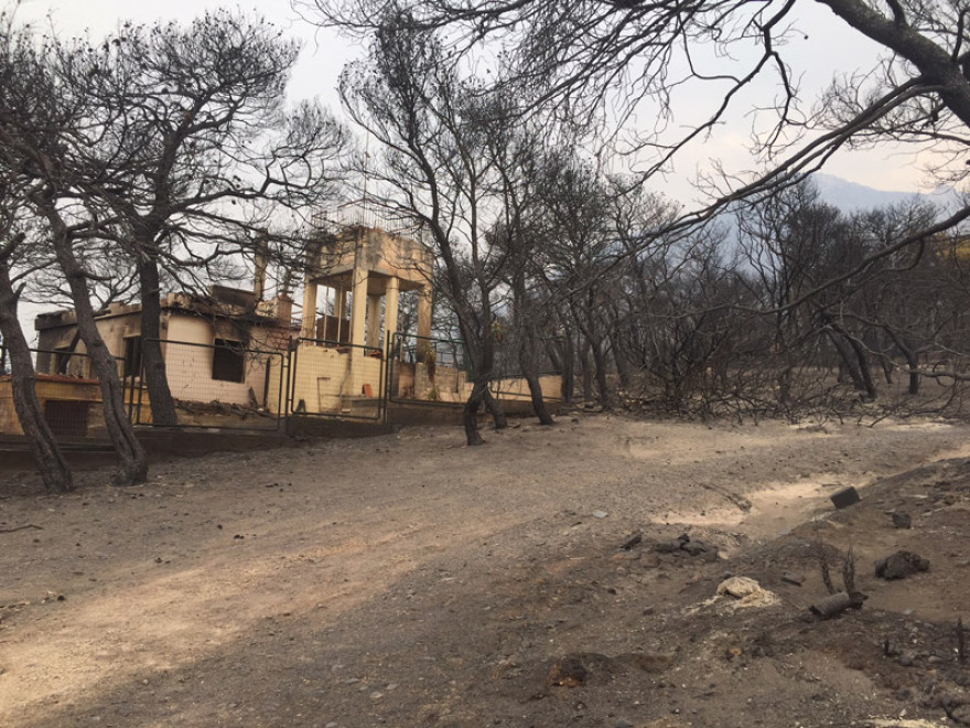 Φωτιά στην Κινέτα: Εικόνες βιβλικής καταστροφής και συγκλονιστικές μαρτυρίες για τον πύρινο εφιάλτη