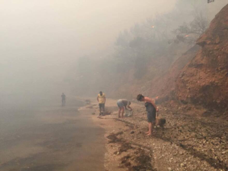 Συγκλονιστικές φωτογραφίες από το Μάτι: Καταφύγιο στην παραλία για εκατοντάδες τρομοκρατημένους πολίτες