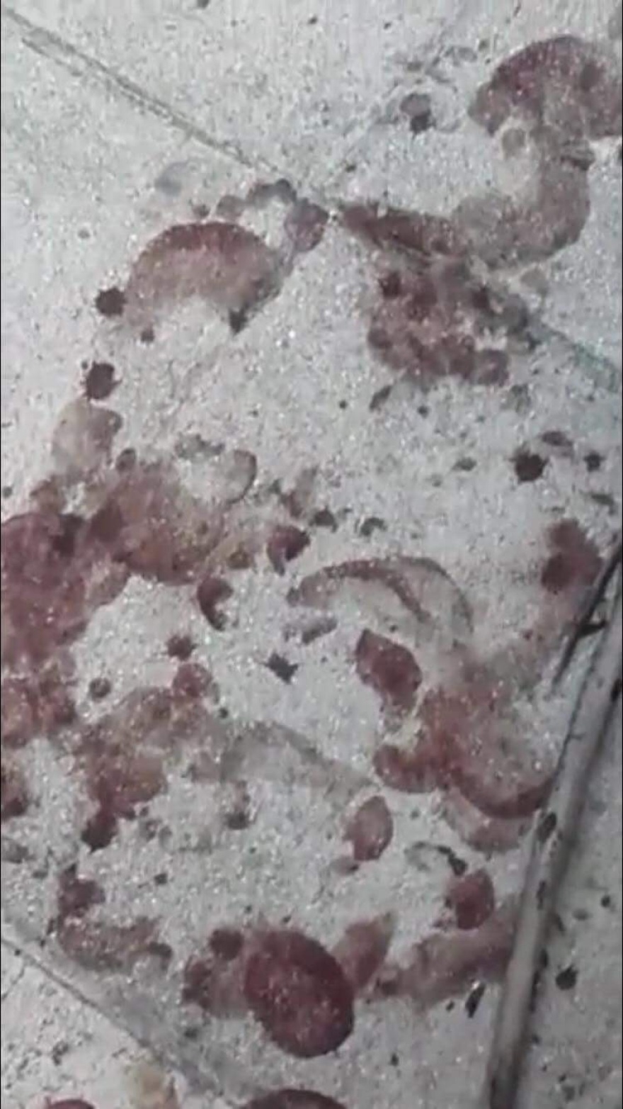 Κόκκινο Λιμανάκι: Εικόνες που σοκάρουν άφησε πίσω της η φονική πυρκαγιά 