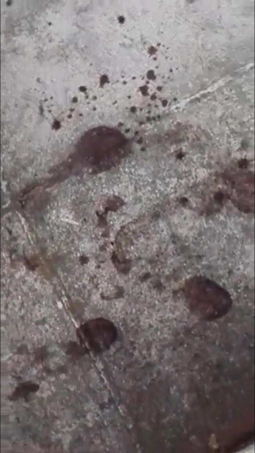 Κόκκινο Λιμανάκι: Εικόνες που σοκάρουν άφησε πίσω της η φονική πυρκαγιά 