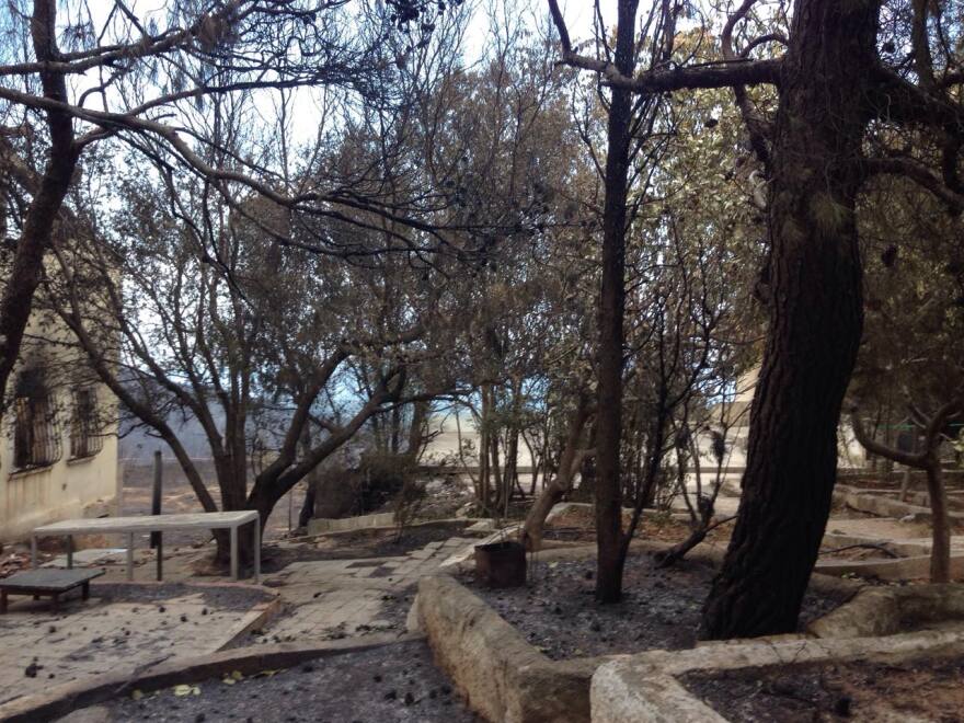 Νέος Βουτζάς: Εικόνες σοκ από το Λύρειο Ίδρυμα που έκαναν στάχτη οι φλόγες