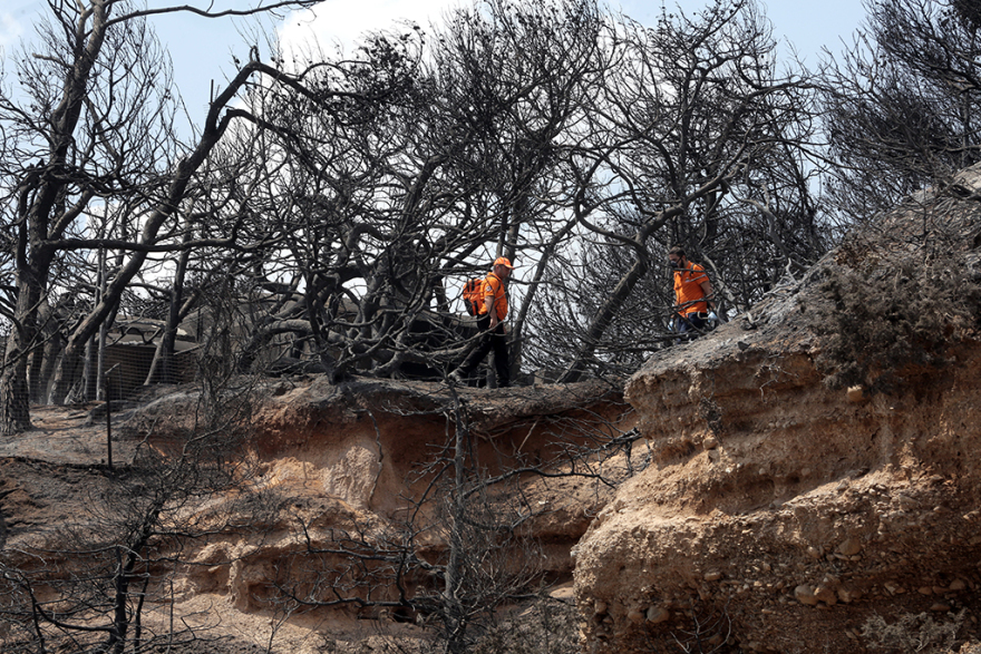 Άλλος ένας νεκρός βρέθηκε στο οικόπεδο της φρίκης στο Μάτι: 84 τα θύματα