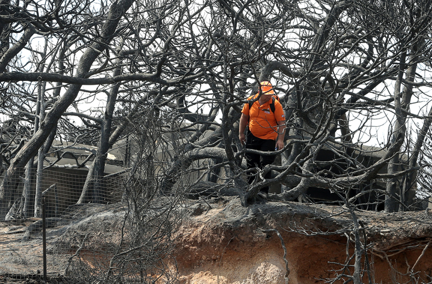 Άλλος ένας νεκρός βρέθηκε στο οικόπεδο της φρίκης στο Μάτι: 84 τα θύματα