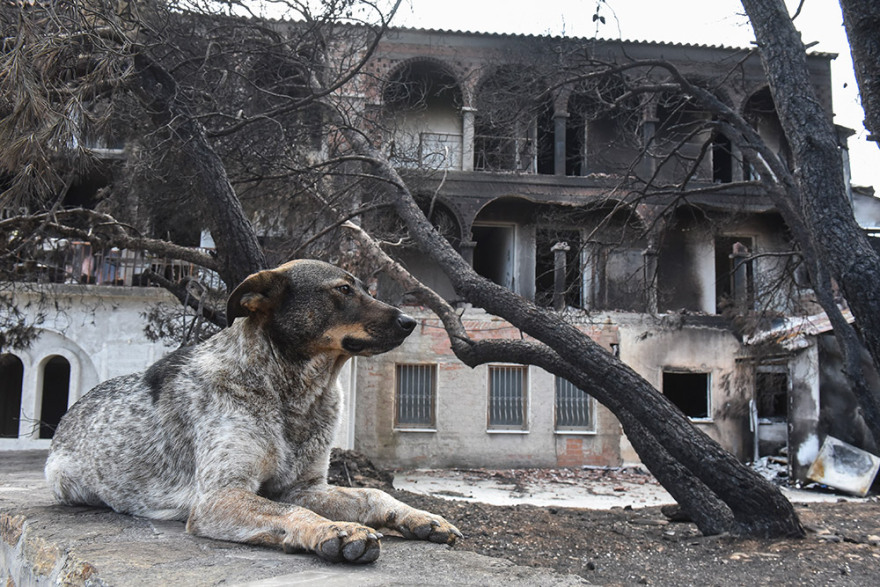 Λύρειο Ίδρυμα: Στάχτη και αποκαΐδια το σπίτι 45 ορφανών παιδιών 