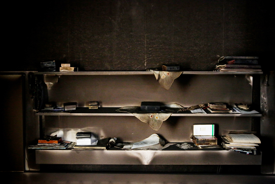 Ζωή μέσα από τις στάχτες: Οι απόκοσμες εικόνες που άφησε πίσω της η πυρκαγιά