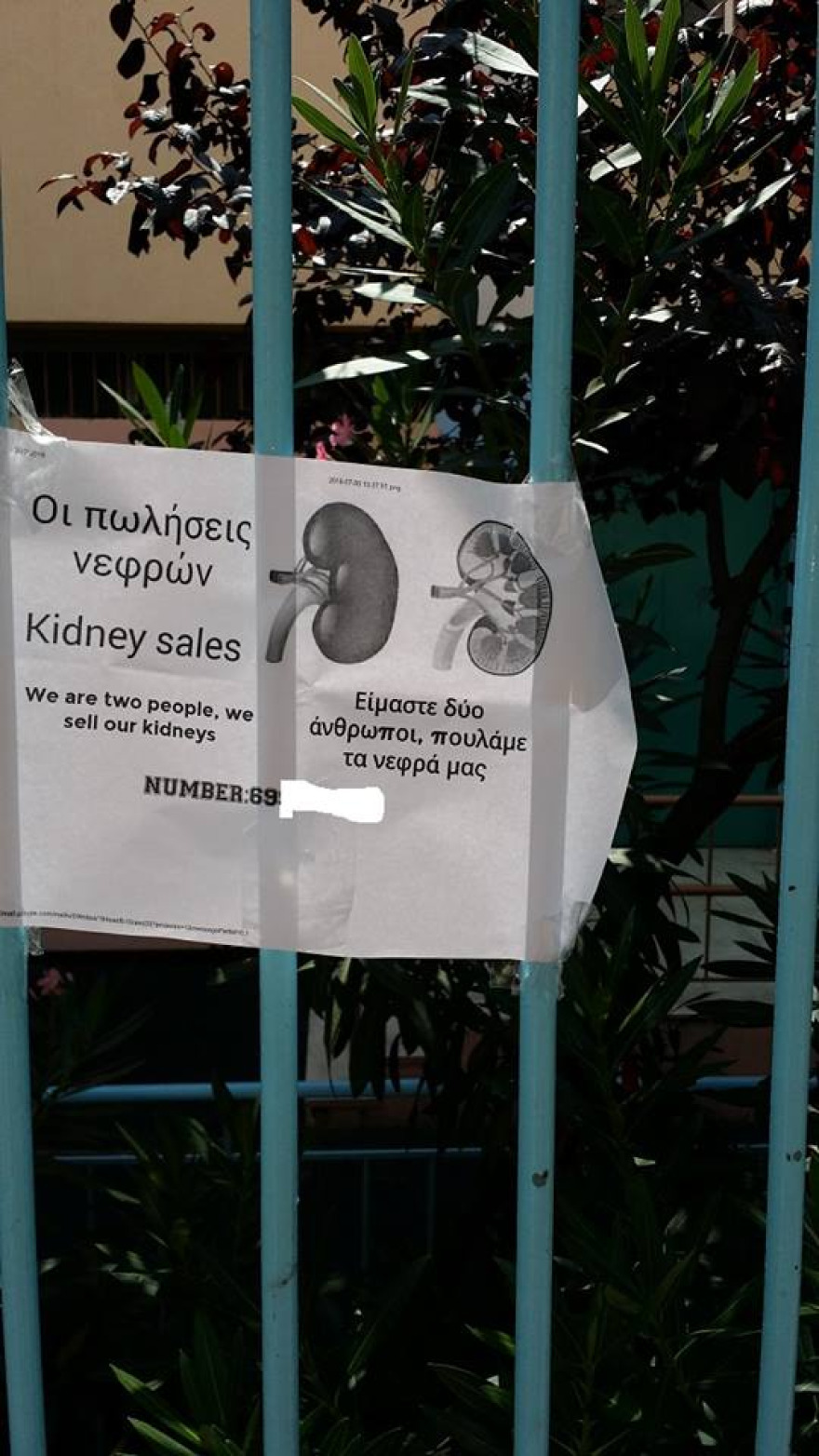 Αγγελία-σοκ: Πουλάνε τα νεφρά τους έξω από το «Λαϊκό»!