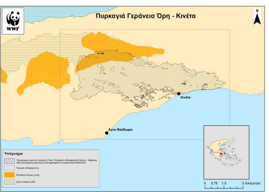 Στοιχεία σοκ για τις φετινές πυρκαγιές: 86.000 στρ. καμμένα σε Αττική, Κορινθία, Κρήτη, Μαγνησία, Λάρισα και Εύβοια