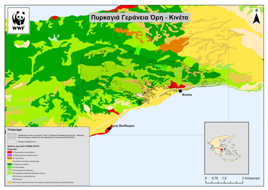 Στοιχεία σοκ για τις φετινές πυρκαγιές: 86.000 στρ. καμμένα σε Αττική, Κορινθία, Κρήτη, Μαγνησία, Λάρισα και Εύβοια