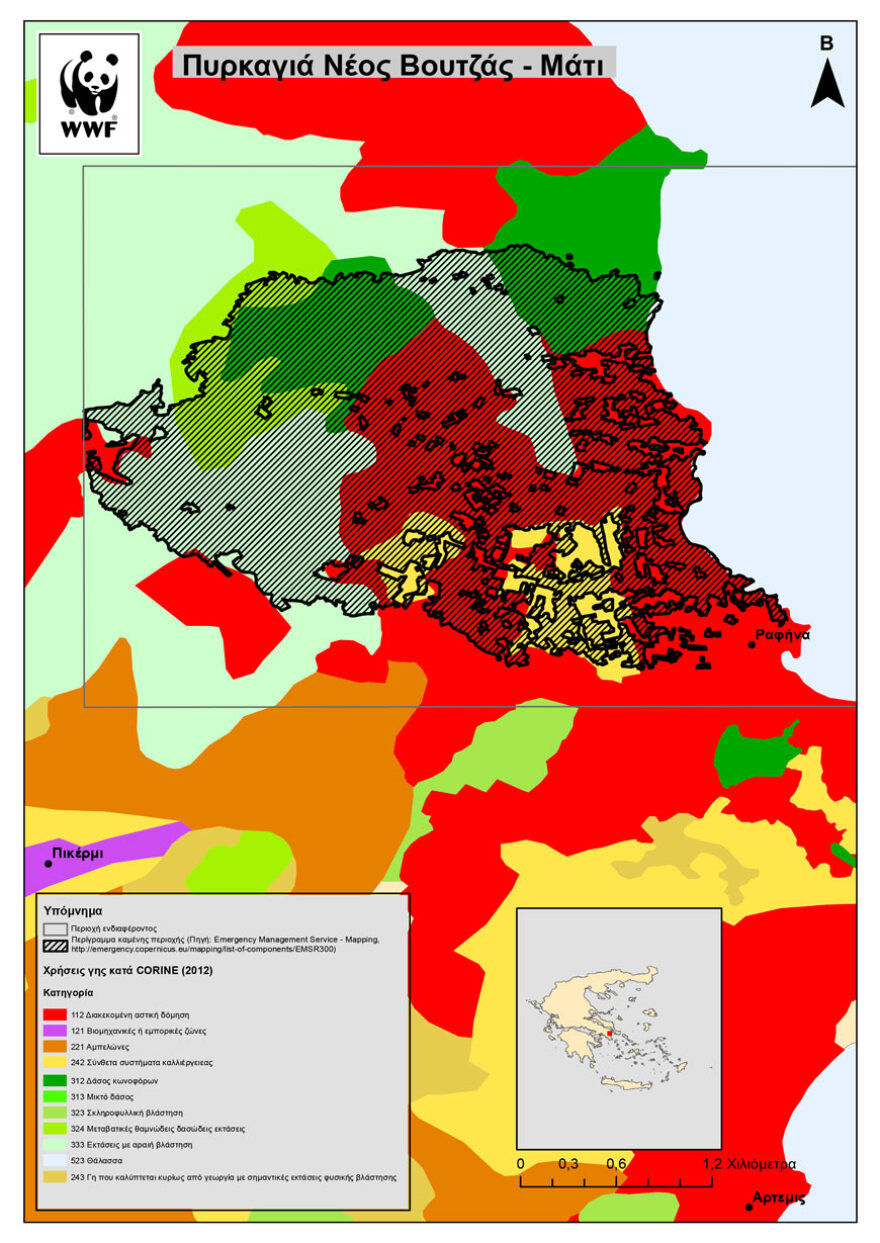 Στοιχεία σοκ για τις φετινές πυρκαγιές: 86.000 στρ. καμμένα σε Αττική, Κορινθία, Κρήτη, Μαγνησία, Λάρισα και Εύβοια