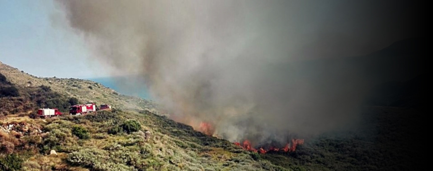 Σε ύφεση η φωτιά στη Ζάκυνθο - Υπό μερικό έλεγχο σε Πάρο και Εύβοια 