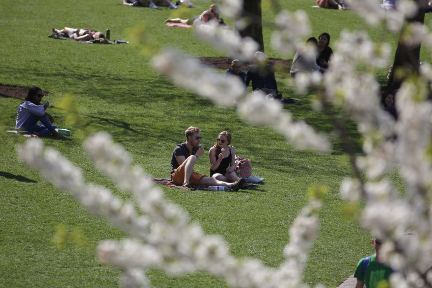 Βορειοαφρικανικός καύσωνας κάνει «καμίνι» την Ευρώπη: Θερμοκρασίες - ρεκόρ στην Ιβηρική