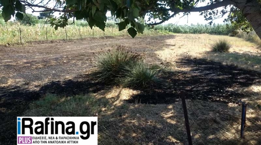 Φωτιά στη Γαλάζια Ακτή στον Μαραθώνα