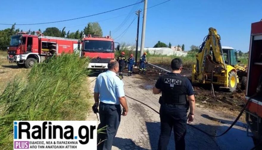 Φωτιά στη Γαλάζια Ακτή στον Μαραθώνα