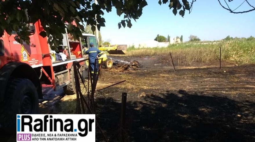 Φωτιά στη Γαλάζια Ακτή στον Μαραθώνα