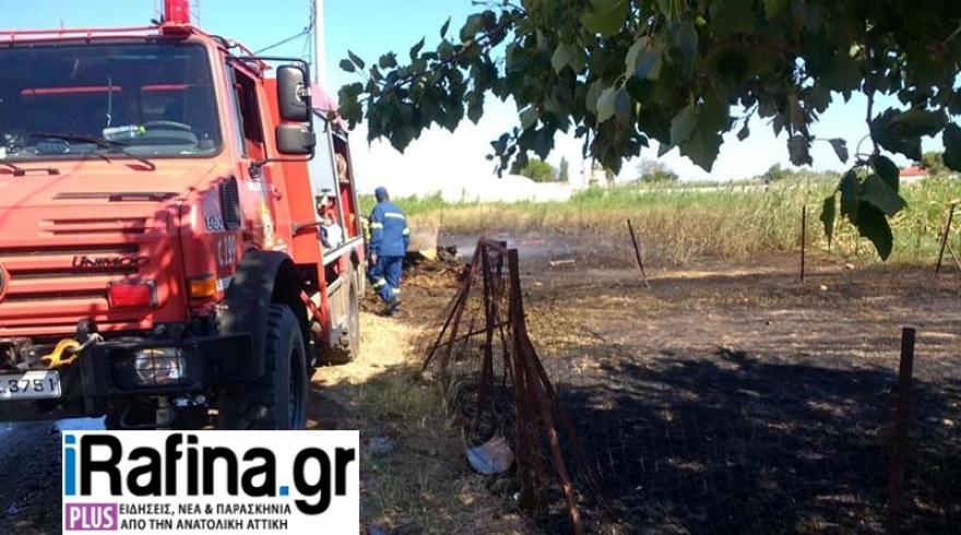 Φωτιά στη Γαλάζια Ακτή στον Μαραθώνα