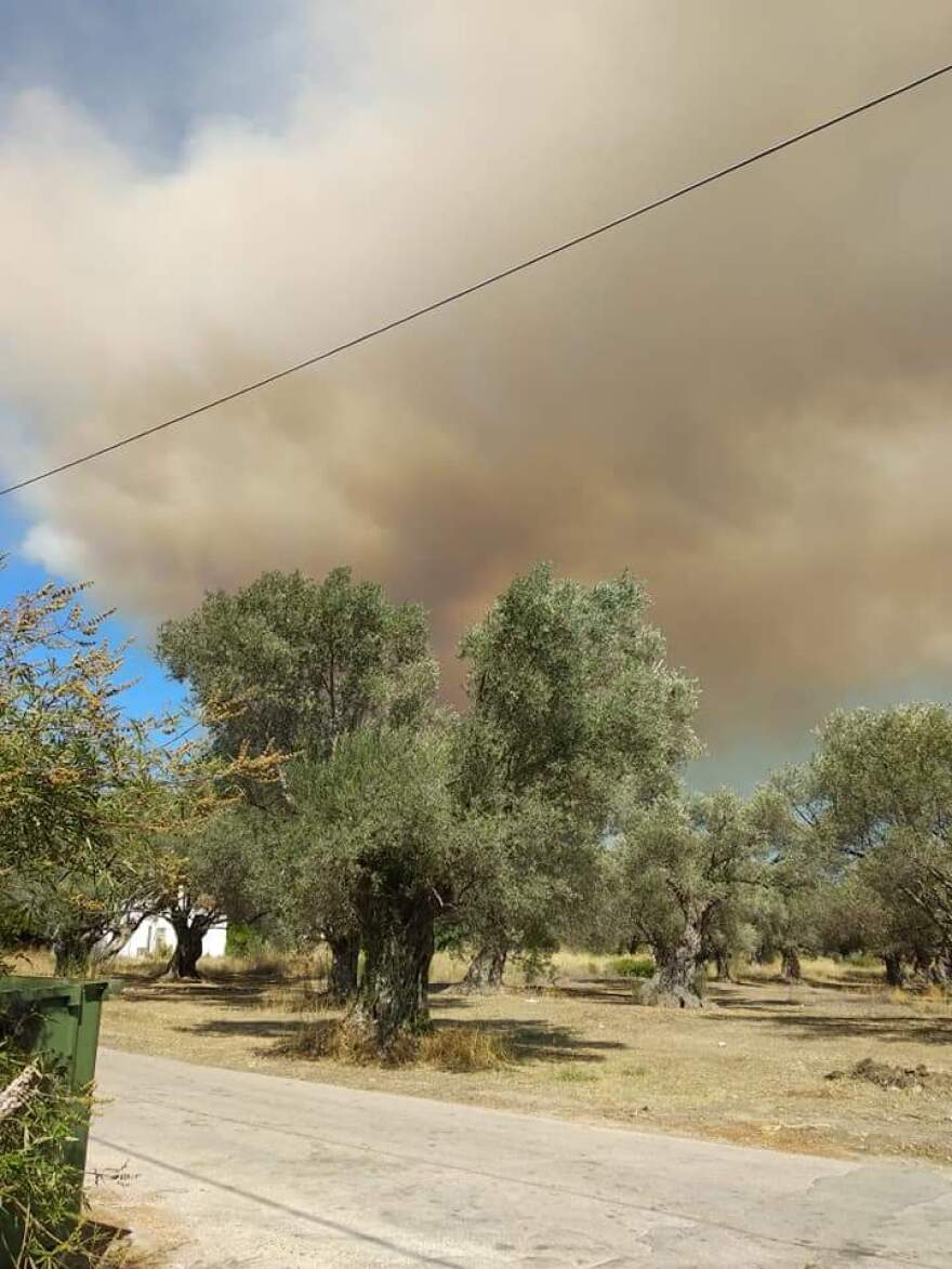 Μάχη με τις φλόγες στην Εύβοια - Σε δύο μέτωπα η φωτιά 