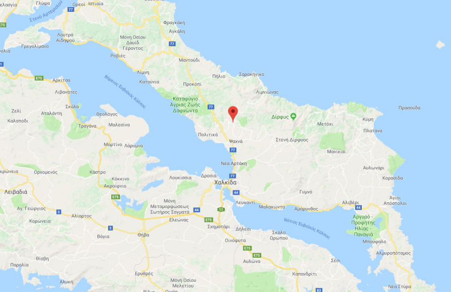 Μάχη με τις φλόγες στην Εύβοια - Σε δύο μέτωπα η φωτιά 