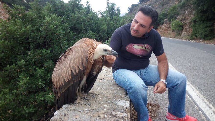 Κρήτη: Έδωσαν νερό σε διψασμένο γυπαετό κι εκείνος… φωτογραφήθηκε μαζί τους