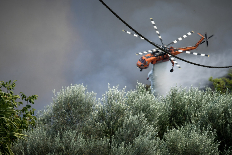 Αμαλιάδα: Μάχη με τις φλόγες σε δύο μέτωπα