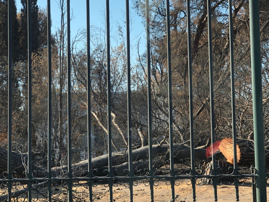 Φωτιά στο Mάτι: Έρημο τοπίο ένα μήνα μετά τις φονικές πυρκαγιές