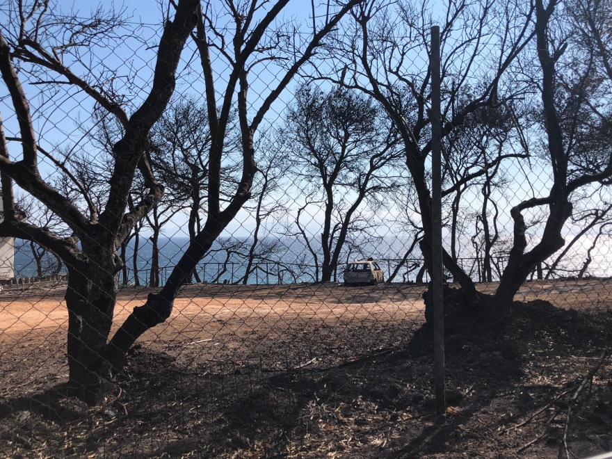 Φωτιά στο Mάτι: Έρημο τοπίο ένα μήνα μετά τις φονικές πυρκαγιές