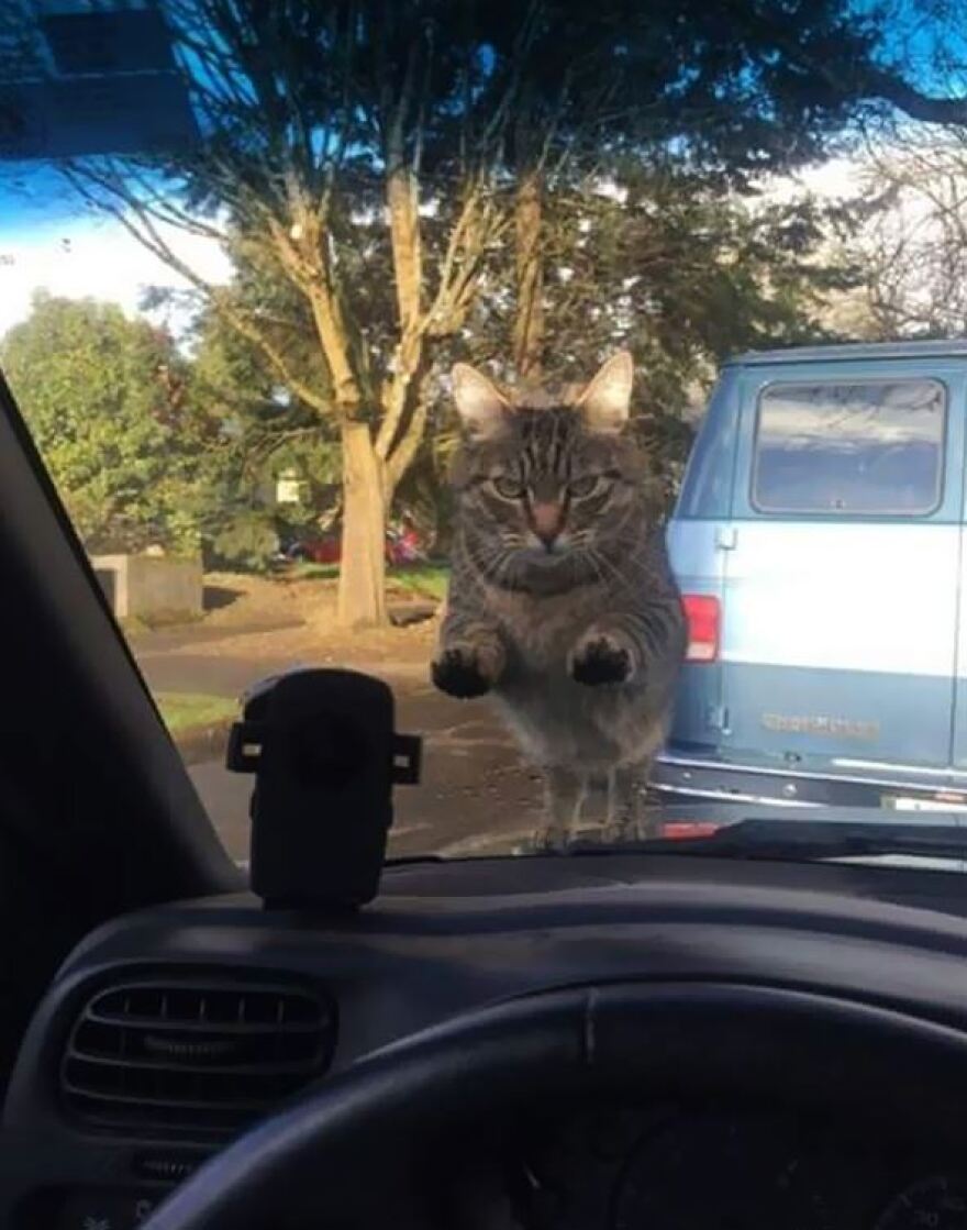 Δέκα ξεκαρδιστικές φωτογραφίες όπου η αφηρημάδα... «πληρώνεται πολύ ακριβά»