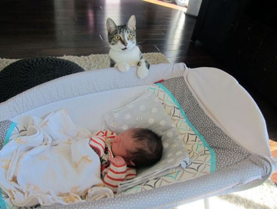 Δέκα ξεκαρδιστικές φωτογραφίες όπου η αφηρημάδα... «πληρώνεται πολύ ακριβά»