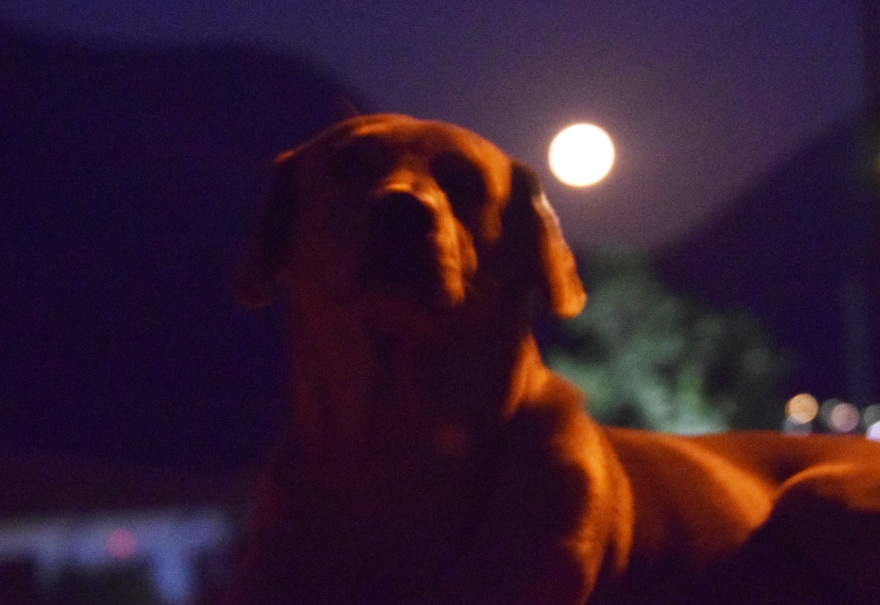 Η υπέροχη αυγουστιάτικη πανσέληνος όπως την «αιχμαλώτισε» ο φωτογραφικός φακός ανά την Ελλάδα