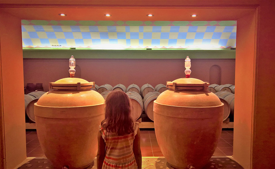 Από τους αμπελώνες του Πύργου Τριφυλίας και σε όλο τον κόσμο