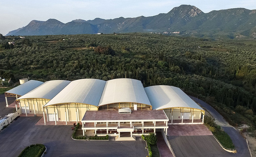 Από τους αμπελώνες του Πύργου Τριφυλίας και σε όλο τον κόσμο