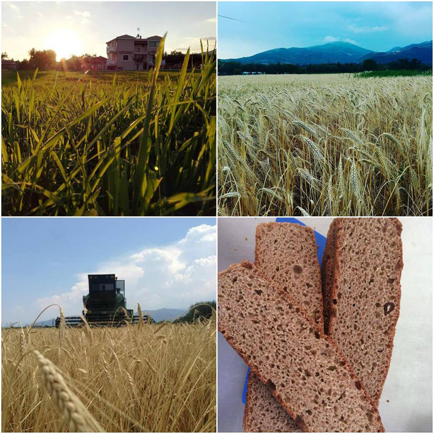 Από την κοιλάδα του Μόρνου στα καλύτερα restaurants της Αθήνας