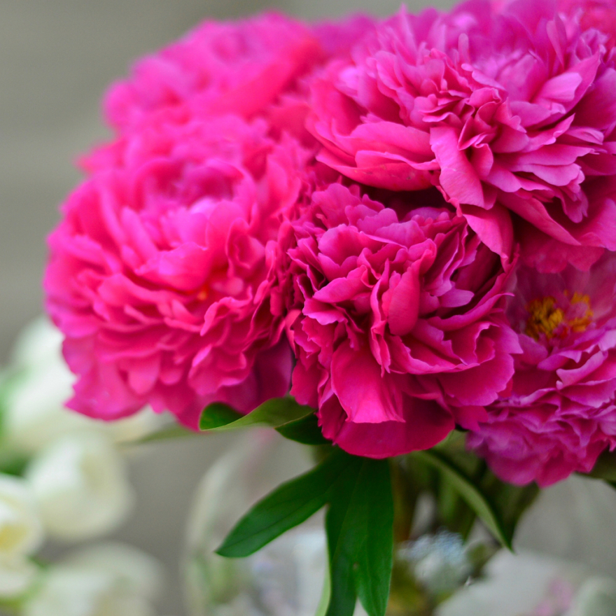 Το έκαψε στο μπατσελορέτ πάρτι η μέλλουσα γυναίκα του Ντόντα