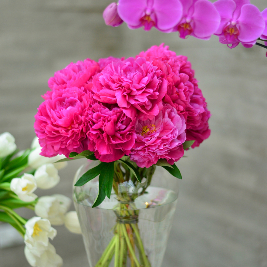 Το έκαψε στο μπατσελορέτ πάρτι η μέλλουσα γυναίκα του Ντόντα