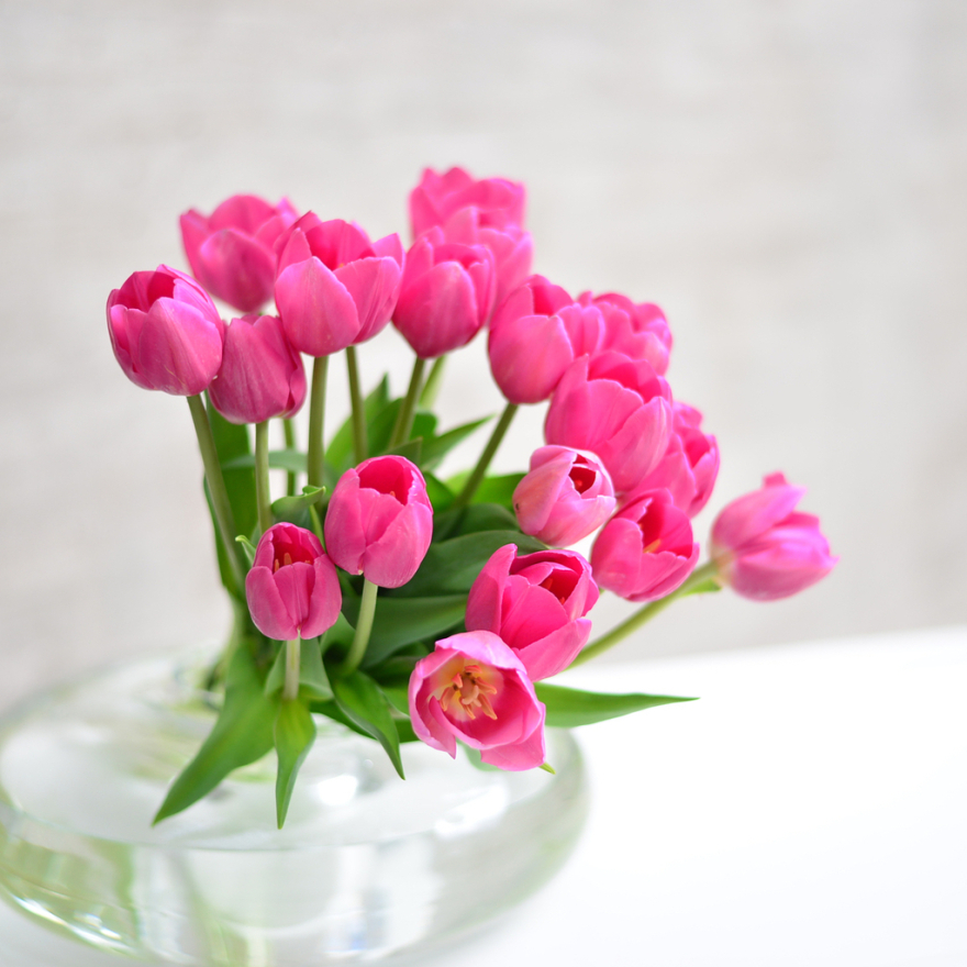 Το έκαψε στο μπατσελορέτ πάρτι η μέλλουσα γυναίκα του Ντόντα