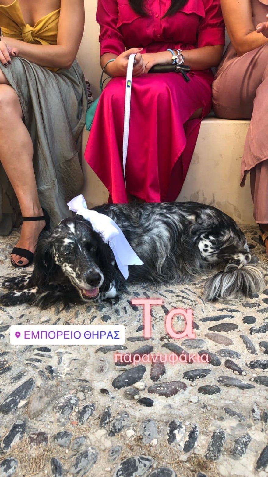 Ελισάβετ Μουτάφη- Μάνος Νιφλής: Παντρεύτηκαν στη Σαντορίνη με 5 κουμπάρους 