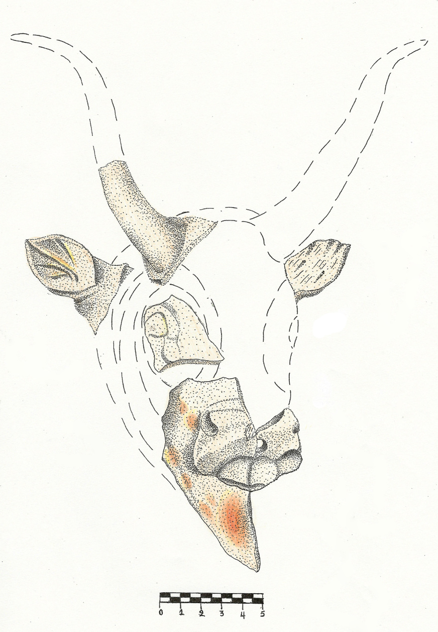 Σπουδαία ανακάλυψη στην Κρήτη: Στο φως μινωικό ανάκτορο σμιλεμένο σε βράχο