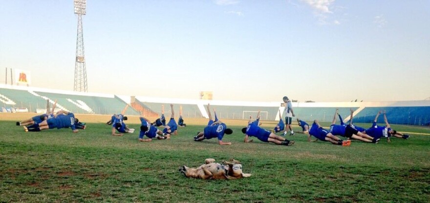 Ο πιο πιστός βοηθός προπονητή στην ιστορία του ποδοσφαίρου!